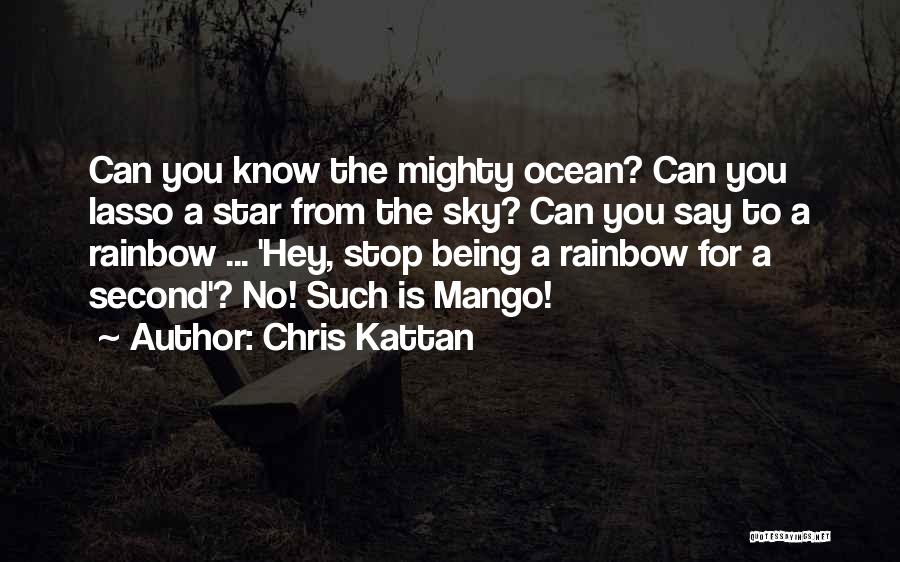 Chris Kattan Quotes: Can You Know The Mighty Ocean? Can You Lasso A Star From The Sky? Can You Say To A Rainbow