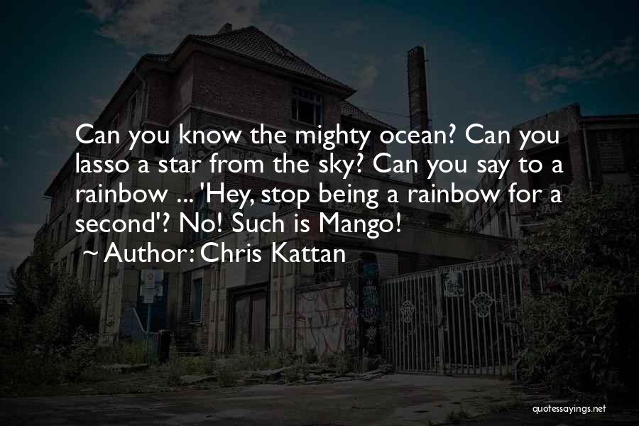 Chris Kattan Quotes: Can You Know The Mighty Ocean? Can You Lasso A Star From The Sky? Can You Say To A Rainbow