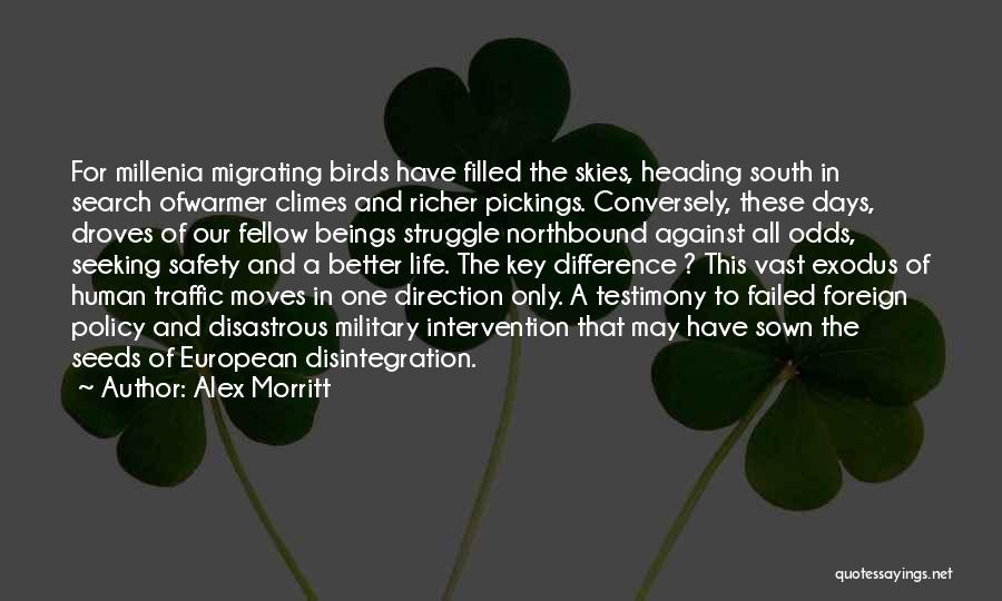 Alex Morritt Quotes: For Millenia Migrating Birds Have Filled The Skies, Heading South In Search Ofwarmer Climes And Richer Pickings. Conversely, These Days,