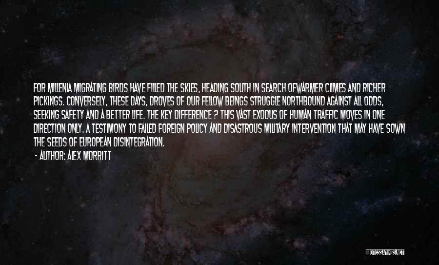 Alex Morritt Quotes: For Millenia Migrating Birds Have Filled The Skies, Heading South In Search Ofwarmer Climes And Richer Pickings. Conversely, These Days,