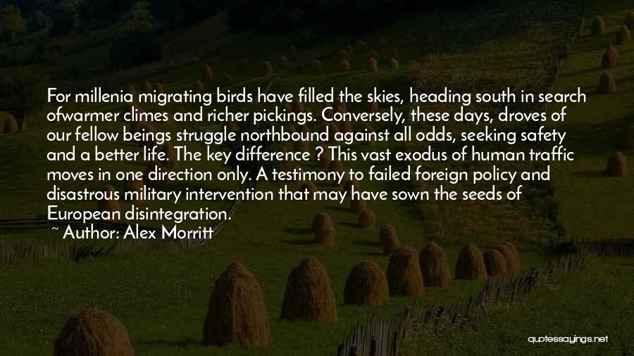 Alex Morritt Quotes: For Millenia Migrating Birds Have Filled The Skies, Heading South In Search Ofwarmer Climes And Richer Pickings. Conversely, These Days,