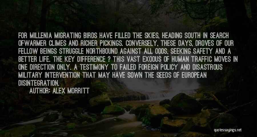 Alex Morritt Quotes: For Millenia Migrating Birds Have Filled The Skies, Heading South In Search Ofwarmer Climes And Richer Pickings. Conversely, These Days,