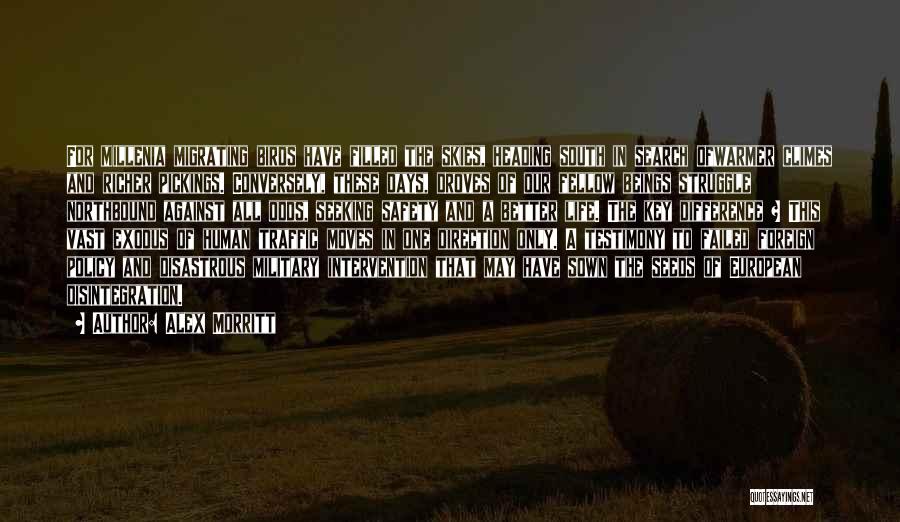 Alex Morritt Quotes: For Millenia Migrating Birds Have Filled The Skies, Heading South In Search Ofwarmer Climes And Richer Pickings. Conversely, These Days,