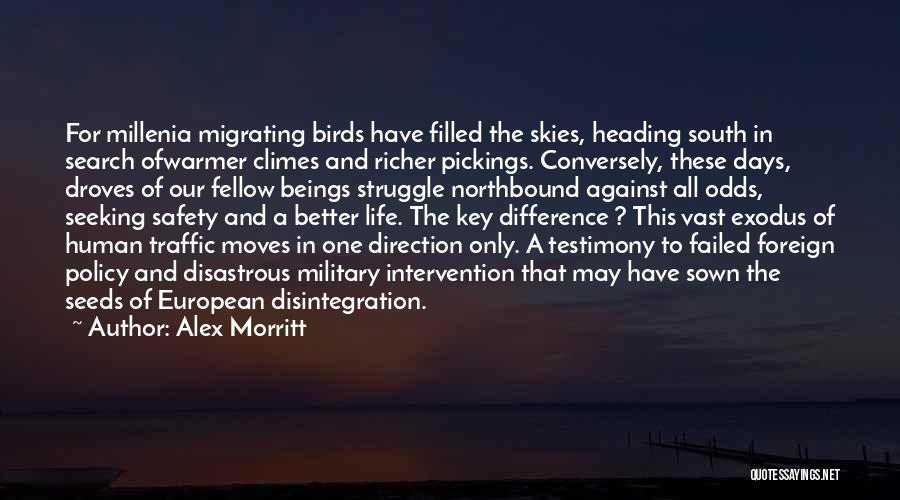 Alex Morritt Quotes: For Millenia Migrating Birds Have Filled The Skies, Heading South In Search Ofwarmer Climes And Richer Pickings. Conversely, These Days,