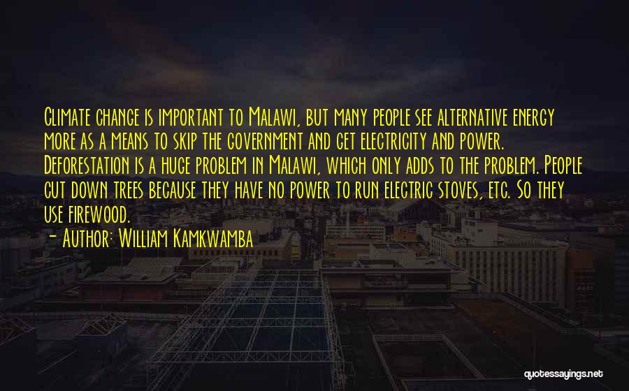 William Kamkwamba Quotes: Climate Change Is Important To Malawi, But Many People See Alternative Energy More As A Means To Skip The Government