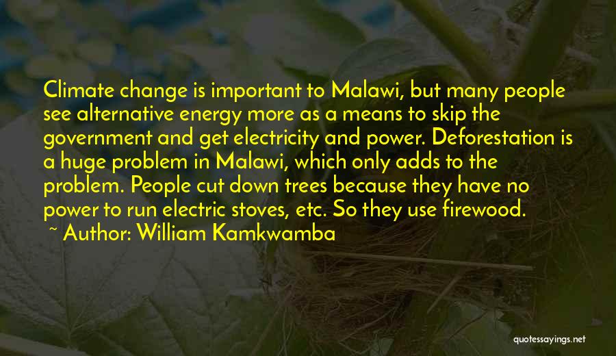 William Kamkwamba Quotes: Climate Change Is Important To Malawi, But Many People See Alternative Energy More As A Means To Skip The Government