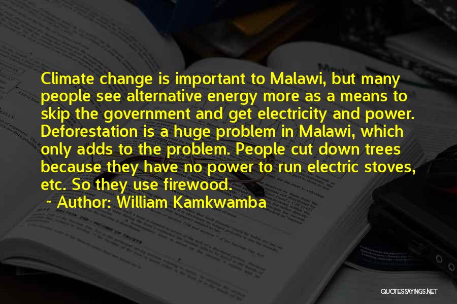 William Kamkwamba Quotes: Climate Change Is Important To Malawi, But Many People See Alternative Energy More As A Means To Skip The Government
