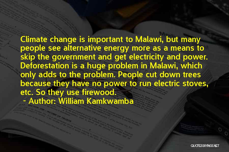 William Kamkwamba Quotes: Climate Change Is Important To Malawi, But Many People See Alternative Energy More As A Means To Skip The Government