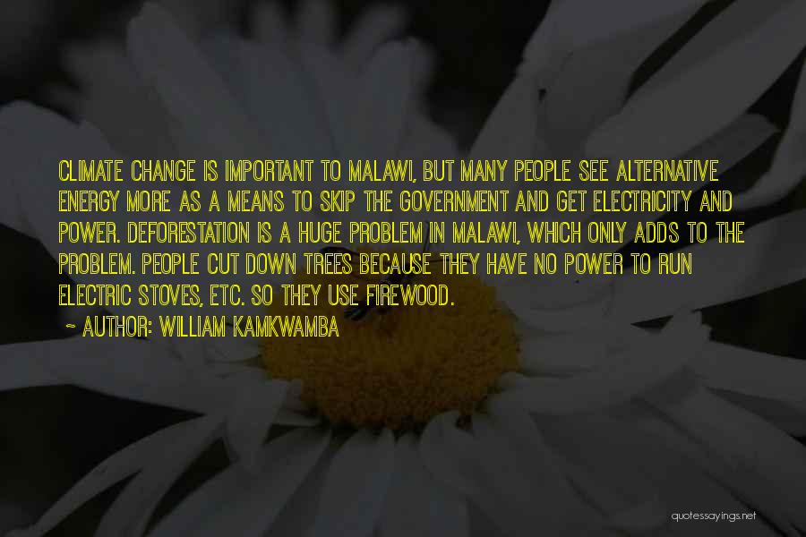 William Kamkwamba Quotes: Climate Change Is Important To Malawi, But Many People See Alternative Energy More As A Means To Skip The Government