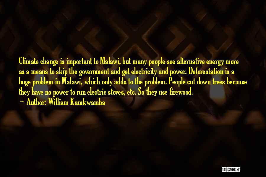 William Kamkwamba Quotes: Climate Change Is Important To Malawi, But Many People See Alternative Energy More As A Means To Skip The Government