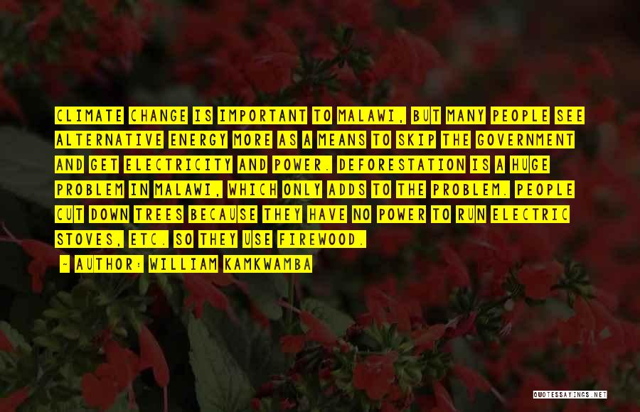William Kamkwamba Quotes: Climate Change Is Important To Malawi, But Many People See Alternative Energy More As A Means To Skip The Government