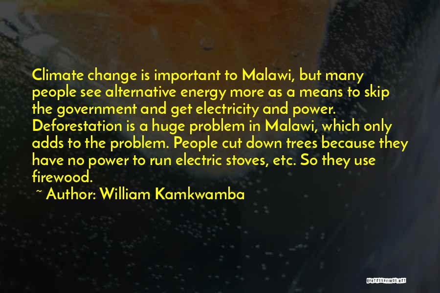 William Kamkwamba Quotes: Climate Change Is Important To Malawi, But Many People See Alternative Energy More As A Means To Skip The Government