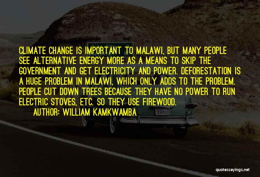 William Kamkwamba Quotes: Climate Change Is Important To Malawi, But Many People See Alternative Energy More As A Means To Skip The Government