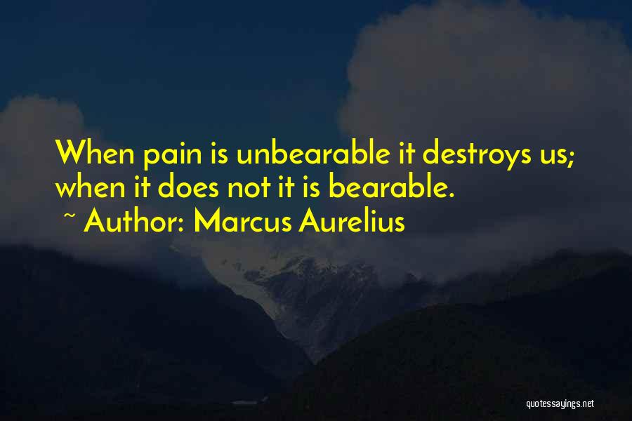 Marcus Aurelius Quotes: When Pain Is Unbearable It Destroys Us; When It Does Not It Is Bearable.