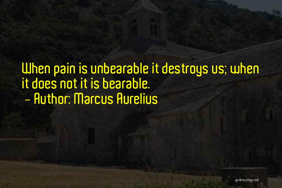 Marcus Aurelius Quotes: When Pain Is Unbearable It Destroys Us; When It Does Not It Is Bearable.