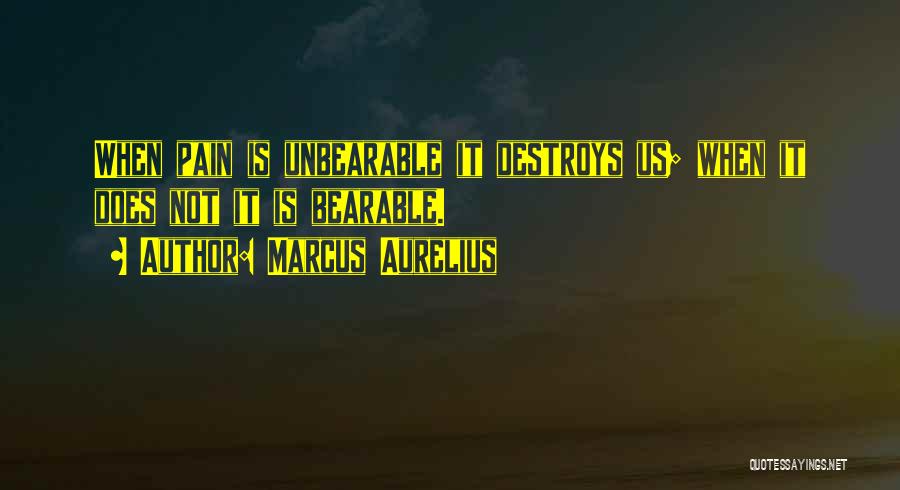 Marcus Aurelius Quotes: When Pain Is Unbearable It Destroys Us; When It Does Not It Is Bearable.