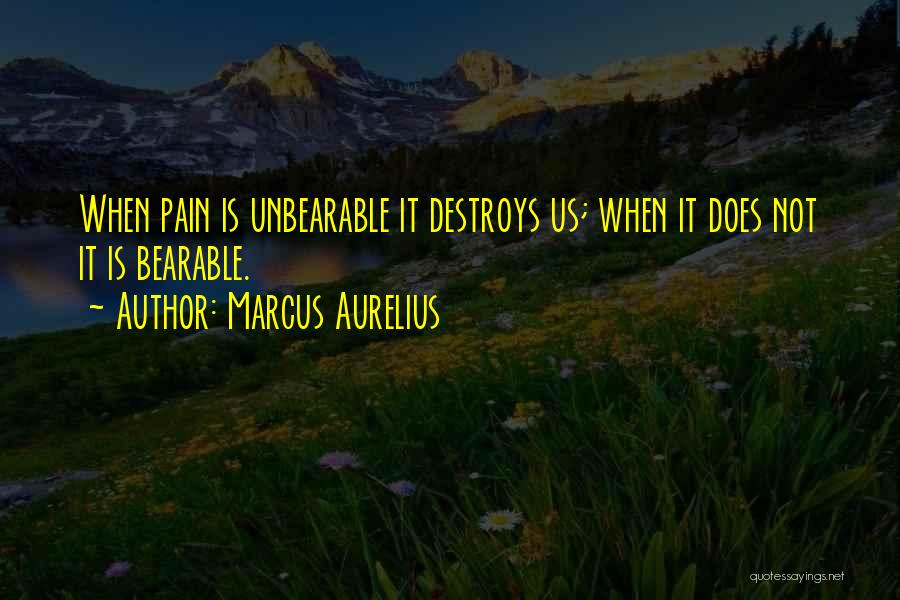 Marcus Aurelius Quotes: When Pain Is Unbearable It Destroys Us; When It Does Not It Is Bearable.