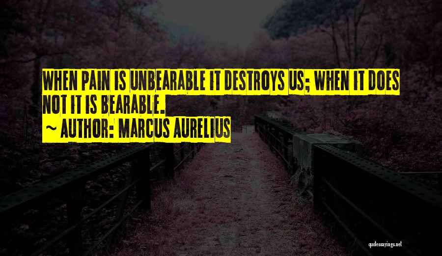 Marcus Aurelius Quotes: When Pain Is Unbearable It Destroys Us; When It Does Not It Is Bearable.