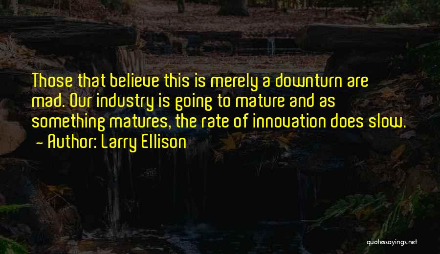 Larry Ellison Quotes: Those That Believe This Is Merely A Downturn Are Mad. Our Industry Is Going To Mature And As Something Matures,