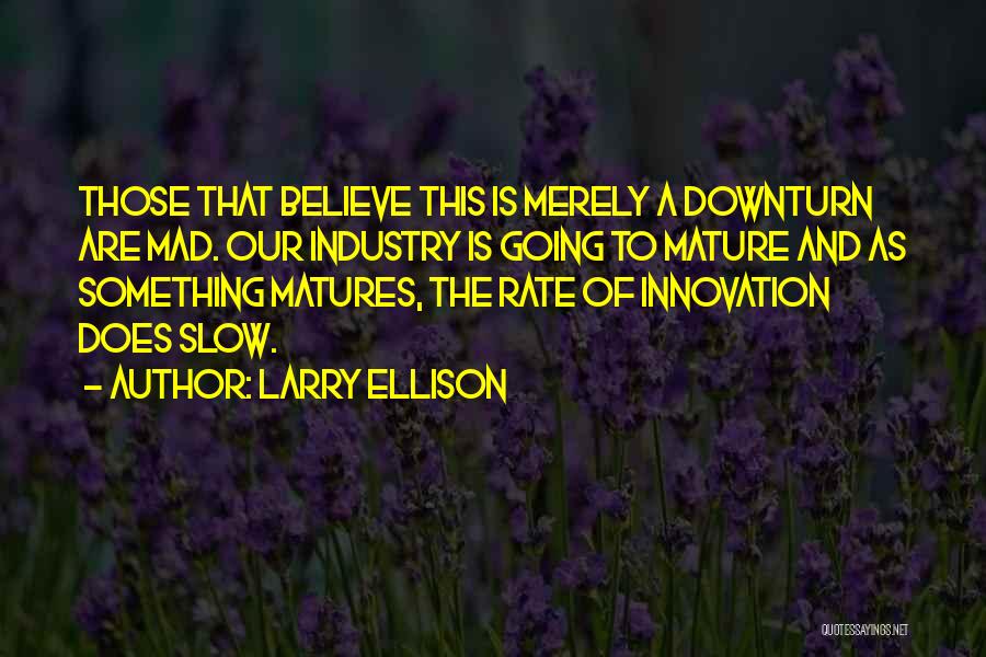 Larry Ellison Quotes: Those That Believe This Is Merely A Downturn Are Mad. Our Industry Is Going To Mature And As Something Matures,