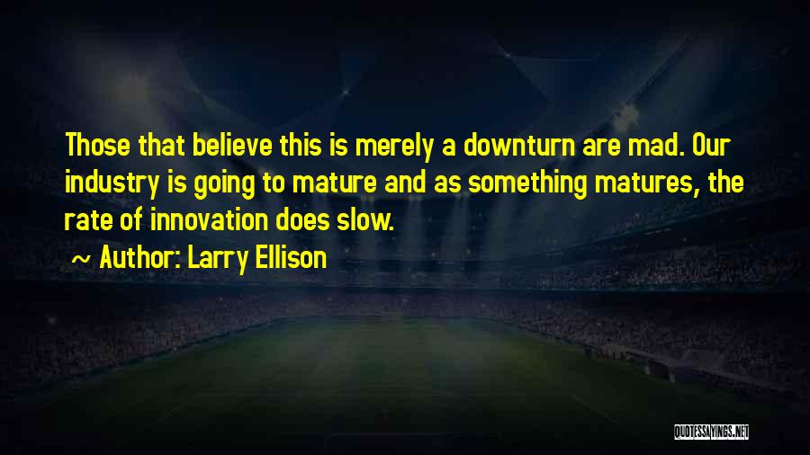 Larry Ellison Quotes: Those That Believe This Is Merely A Downturn Are Mad. Our Industry Is Going To Mature And As Something Matures,