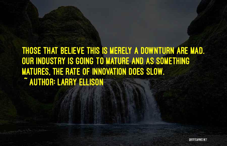 Larry Ellison Quotes: Those That Believe This Is Merely A Downturn Are Mad. Our Industry Is Going To Mature And As Something Matures,