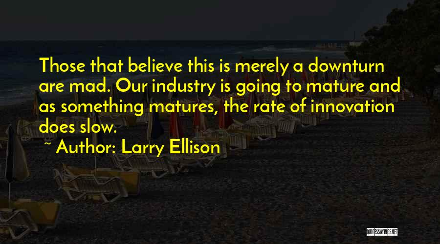Larry Ellison Quotes: Those That Believe This Is Merely A Downturn Are Mad. Our Industry Is Going To Mature And As Something Matures,