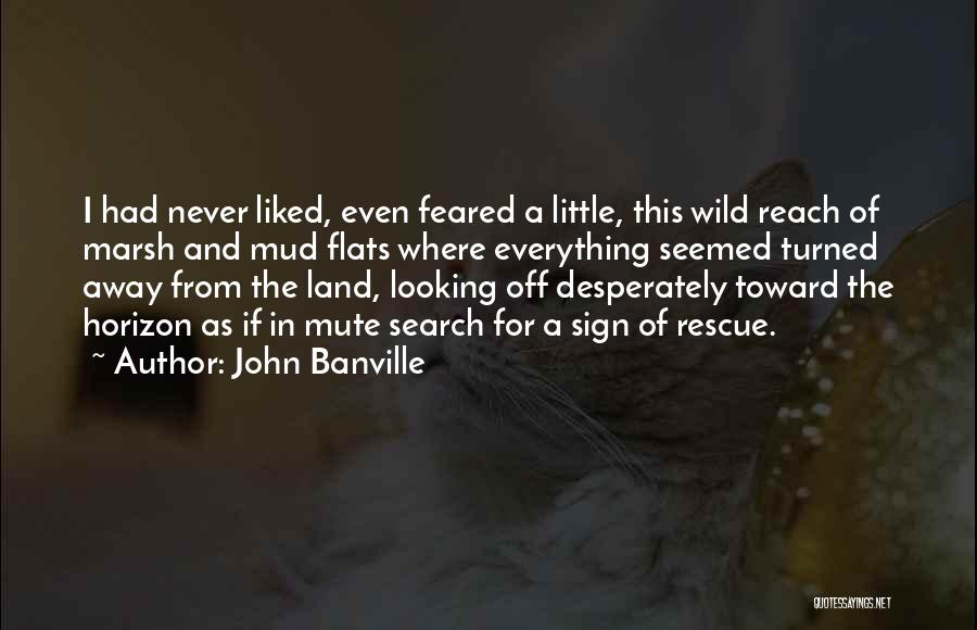 John Banville Quotes: I Had Never Liked, Even Feared A Little, This Wild Reach Of Marsh And Mud Flats Where Everything Seemed Turned