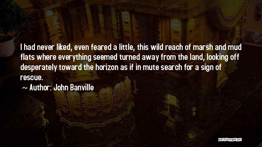 John Banville Quotes: I Had Never Liked, Even Feared A Little, This Wild Reach Of Marsh And Mud Flats Where Everything Seemed Turned