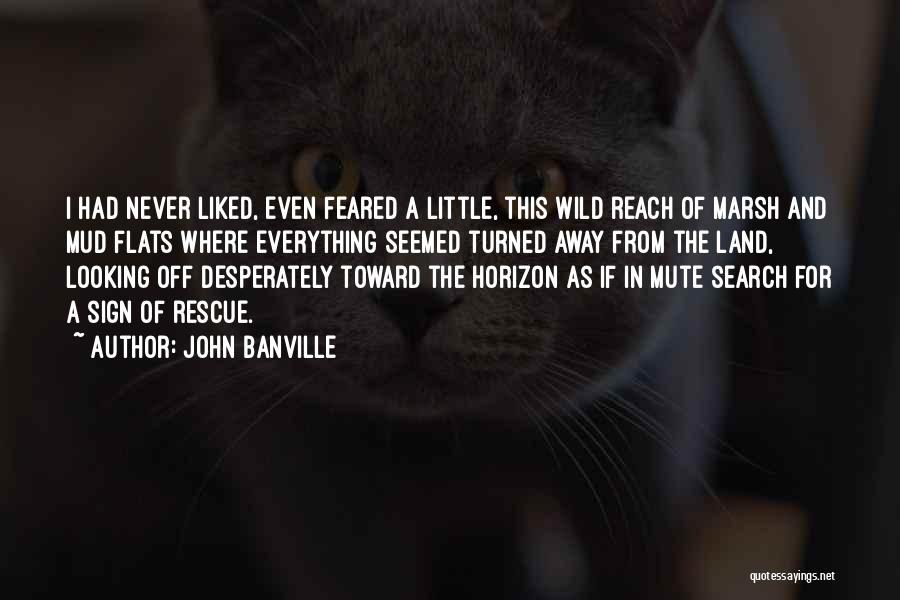 John Banville Quotes: I Had Never Liked, Even Feared A Little, This Wild Reach Of Marsh And Mud Flats Where Everything Seemed Turned