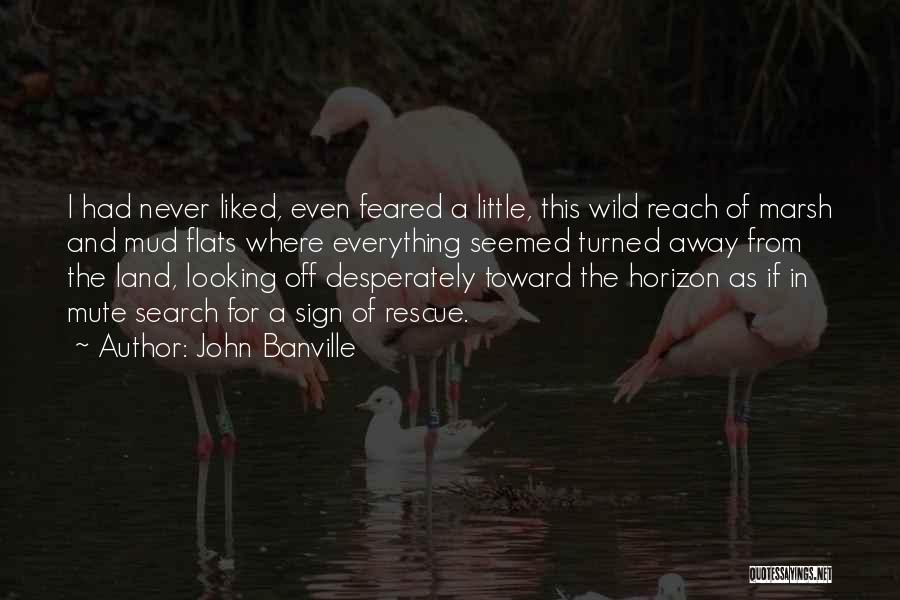 John Banville Quotes: I Had Never Liked, Even Feared A Little, This Wild Reach Of Marsh And Mud Flats Where Everything Seemed Turned