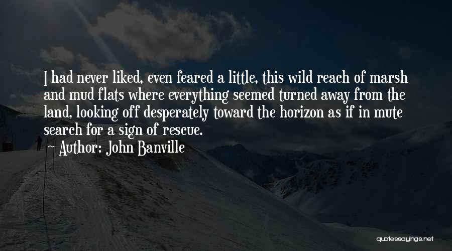 John Banville Quotes: I Had Never Liked, Even Feared A Little, This Wild Reach Of Marsh And Mud Flats Where Everything Seemed Turned