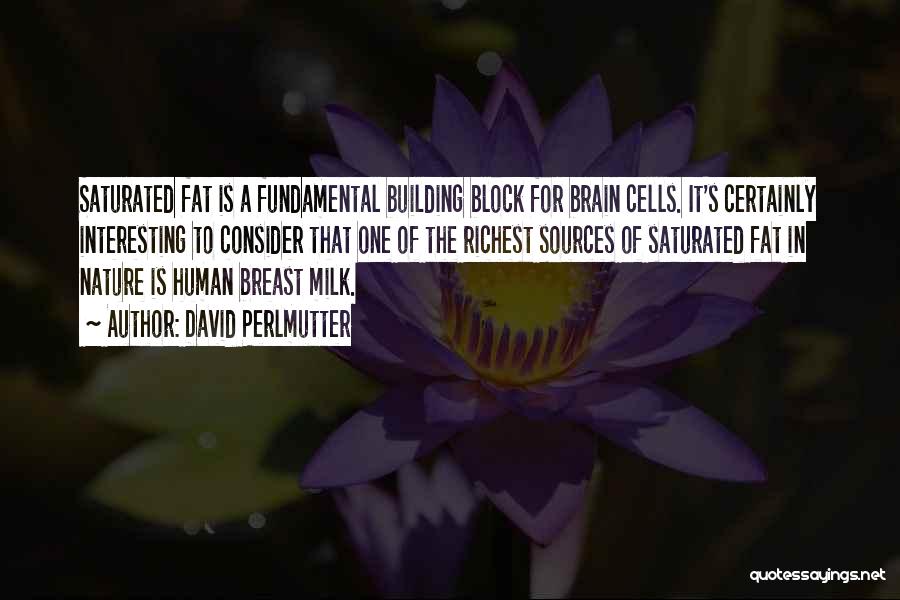 David Perlmutter Quotes: Saturated Fat Is A Fundamental Building Block For Brain Cells. It's Certainly Interesting To Consider That One Of The Richest