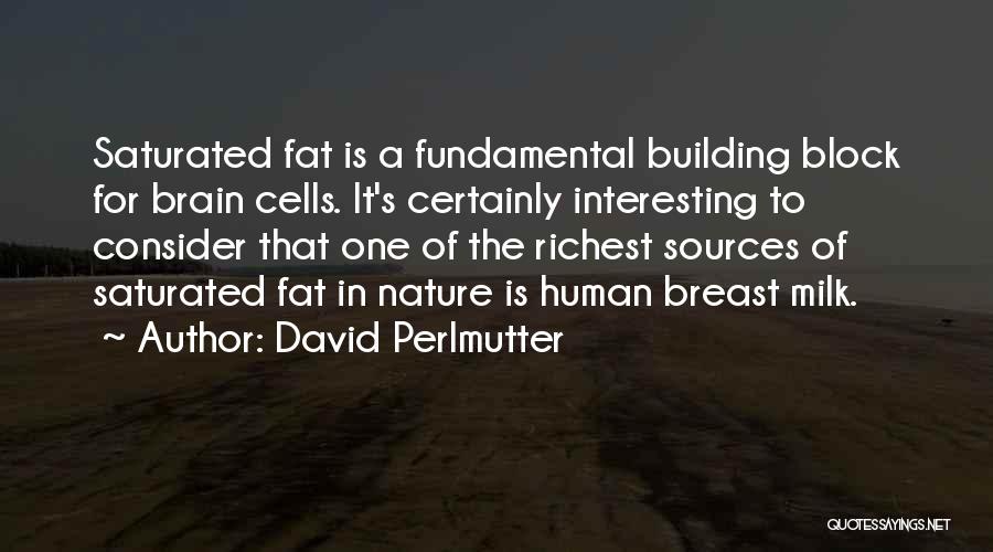 David Perlmutter Quotes: Saturated Fat Is A Fundamental Building Block For Brain Cells. It's Certainly Interesting To Consider That One Of The Richest