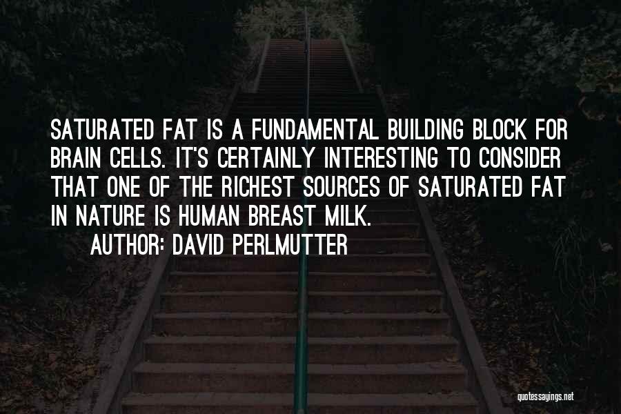 David Perlmutter Quotes: Saturated Fat Is A Fundamental Building Block For Brain Cells. It's Certainly Interesting To Consider That One Of The Richest