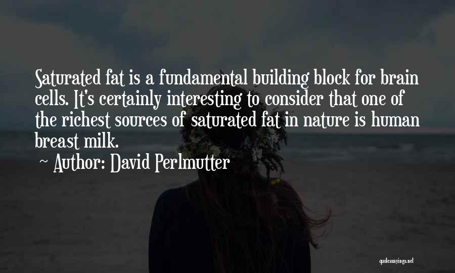 David Perlmutter Quotes: Saturated Fat Is A Fundamental Building Block For Brain Cells. It's Certainly Interesting To Consider That One Of The Richest