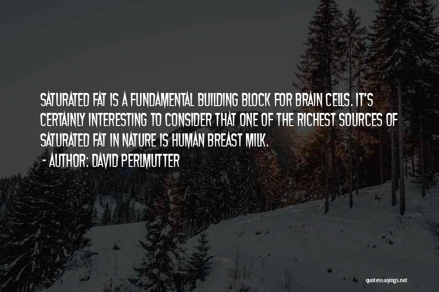 David Perlmutter Quotes: Saturated Fat Is A Fundamental Building Block For Brain Cells. It's Certainly Interesting To Consider That One Of The Richest