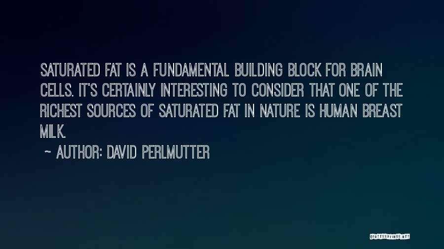 David Perlmutter Quotes: Saturated Fat Is A Fundamental Building Block For Brain Cells. It's Certainly Interesting To Consider That One Of The Richest