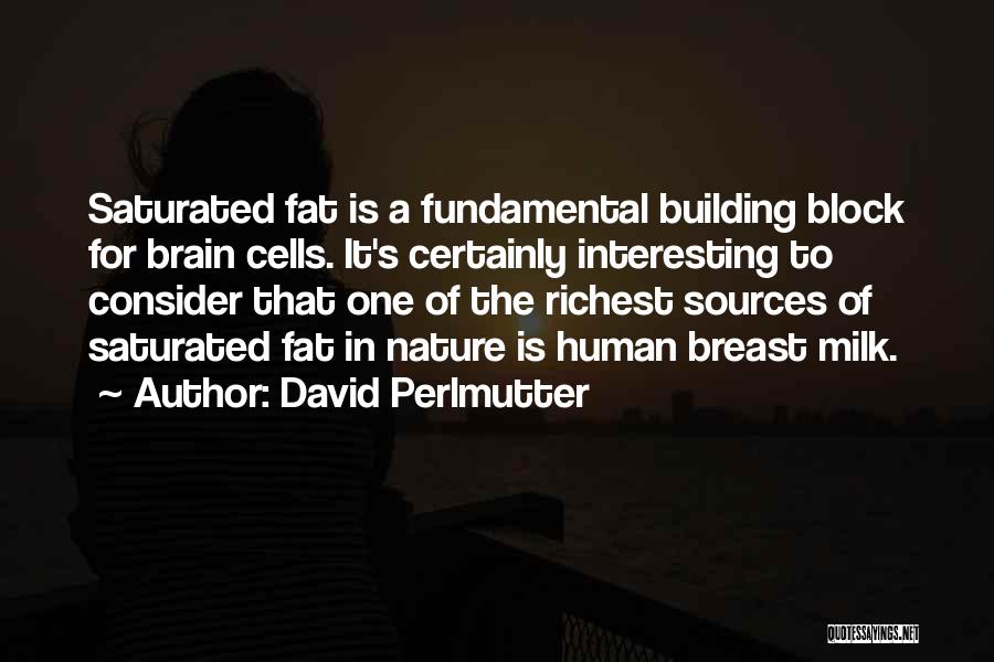 David Perlmutter Quotes: Saturated Fat Is A Fundamental Building Block For Brain Cells. It's Certainly Interesting To Consider That One Of The Richest