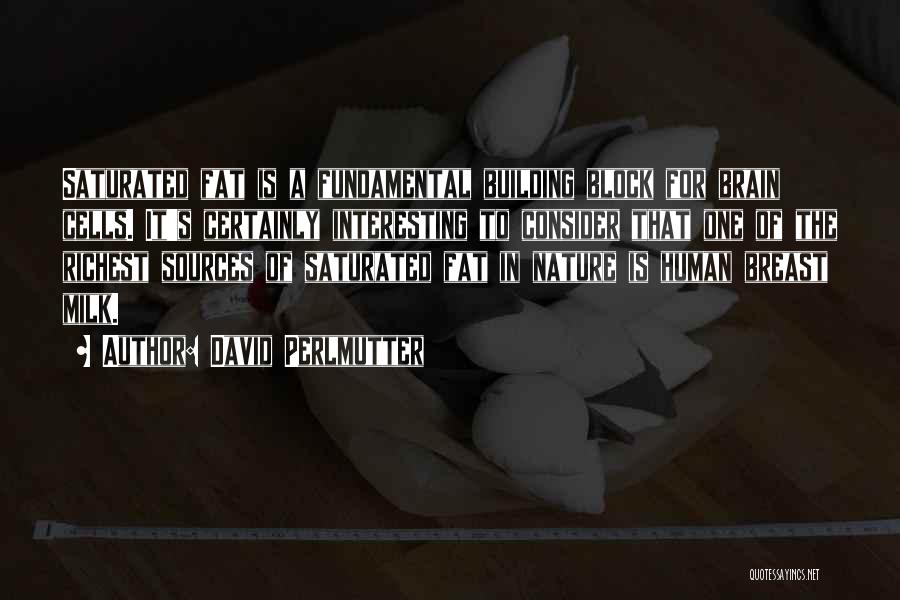 David Perlmutter Quotes: Saturated Fat Is A Fundamental Building Block For Brain Cells. It's Certainly Interesting To Consider That One Of The Richest