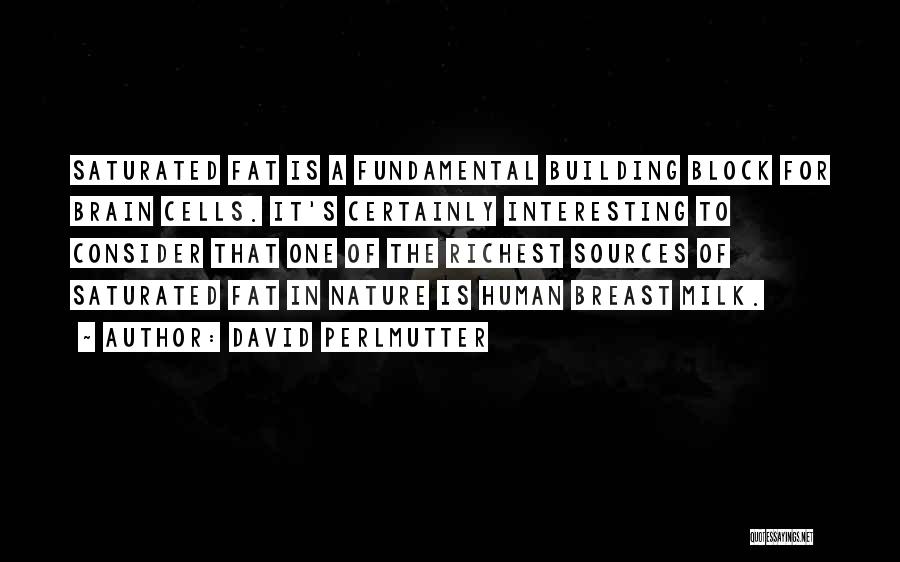 David Perlmutter Quotes: Saturated Fat Is A Fundamental Building Block For Brain Cells. It's Certainly Interesting To Consider That One Of The Richest