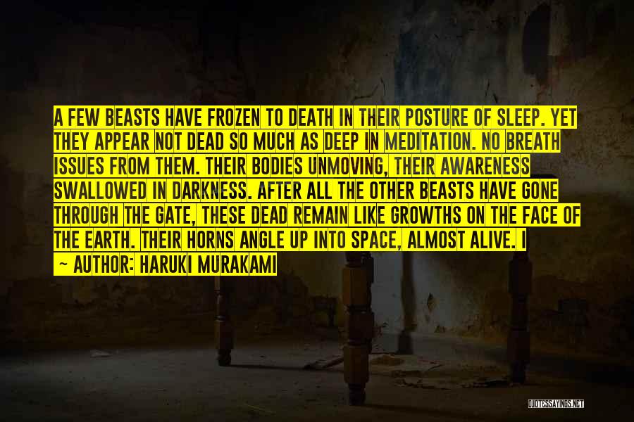 Haruki Murakami Quotes: A Few Beasts Have Frozen To Death In Their Posture Of Sleep. Yet They Appear Not Dead So Much As