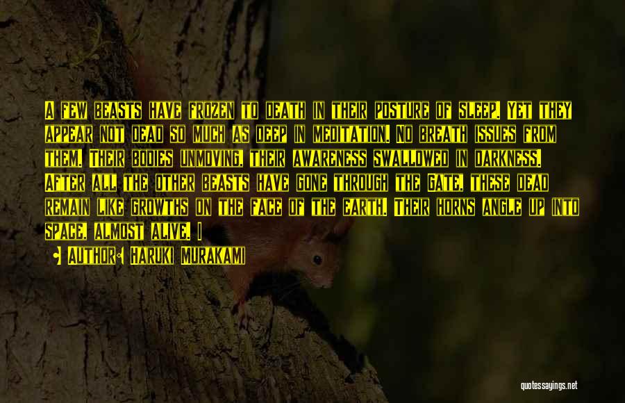 Haruki Murakami Quotes: A Few Beasts Have Frozen To Death In Their Posture Of Sleep. Yet They Appear Not Dead So Much As