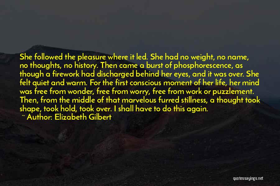 Elizabeth Gilbert Quotes: She Followed The Pleasure Where It Led. She Had No Weight, No Name, No Thoughts, No History. Then Came A