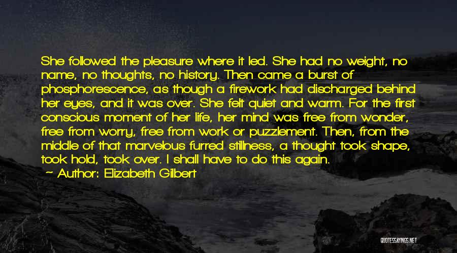 Elizabeth Gilbert Quotes: She Followed The Pleasure Where It Led. She Had No Weight, No Name, No Thoughts, No History. Then Came A