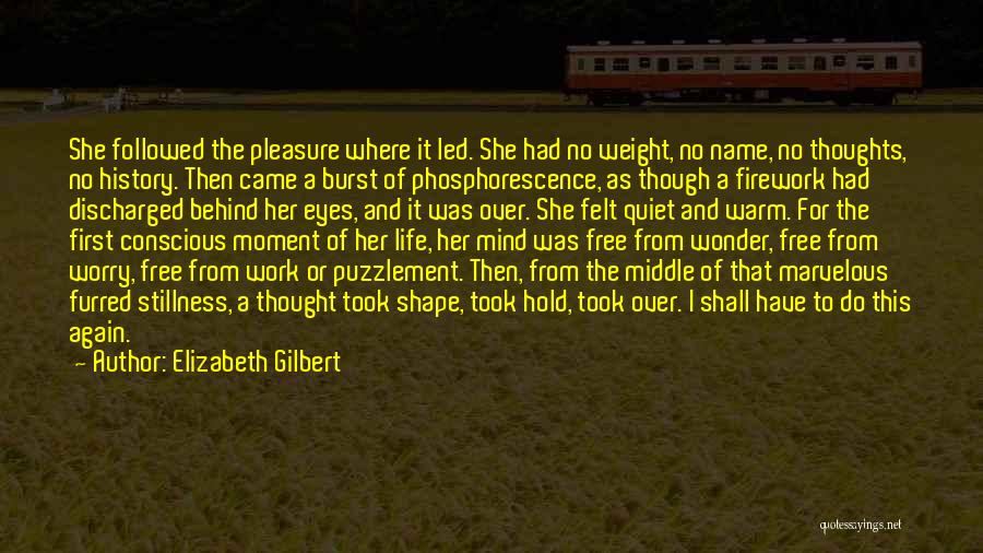 Elizabeth Gilbert Quotes: She Followed The Pleasure Where It Led. She Had No Weight, No Name, No Thoughts, No History. Then Came A