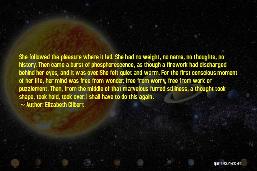 Elizabeth Gilbert Quotes: She Followed The Pleasure Where It Led. She Had No Weight, No Name, No Thoughts, No History. Then Came A