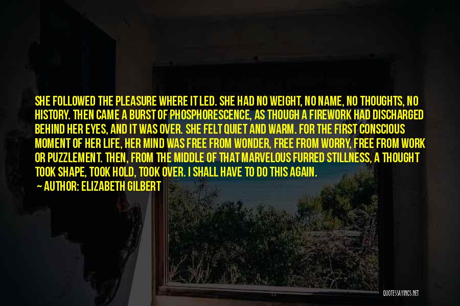 Elizabeth Gilbert Quotes: She Followed The Pleasure Where It Led. She Had No Weight, No Name, No Thoughts, No History. Then Came A