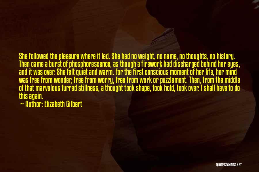 Elizabeth Gilbert Quotes: She Followed The Pleasure Where It Led. She Had No Weight, No Name, No Thoughts, No History. Then Came A