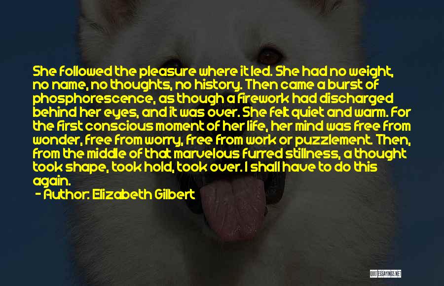 Elizabeth Gilbert Quotes: She Followed The Pleasure Where It Led. She Had No Weight, No Name, No Thoughts, No History. Then Came A